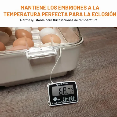 Vista 3 de Egg-O-Meter™ - Termómetro de huevo con pantalla digital grande con memoria mínima/máxima