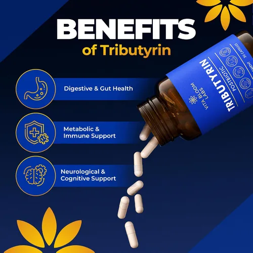 Vista 7 de Paquete de suplemento de apoyo para la salud intestinal de paraxantina y tributirina de Enfinity