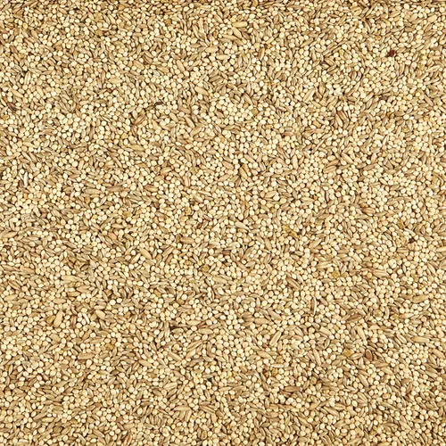 Vista 2 de Kaytee Supreme - Alimento para periquitos, para pájaros de mascotas, 20 libras
