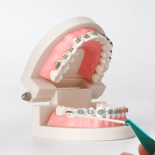 Vista 6 de Paquete de 20 bandas elásticas dentales para aparatos ortopédicos, multicolor, herramienta de banda de goma, desechables de plástico para ortodoncia