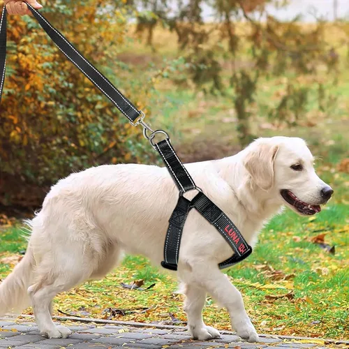Vista 5 de Arnés personalizado para perro, arnés personalizado sin tirones para mascotas con nombre y número de teléfono, chaleco ajustable para perro