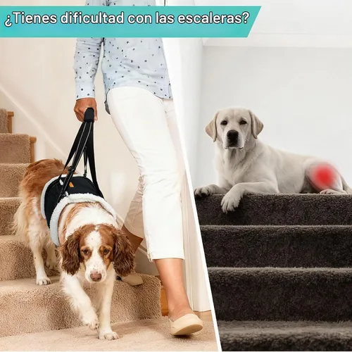 Vista 2 de LumoLeaf Arnés de elevación para perros para patas traseras, soporte ajustable para piernas traseras y ayuda de movilidad, soporte de cadera