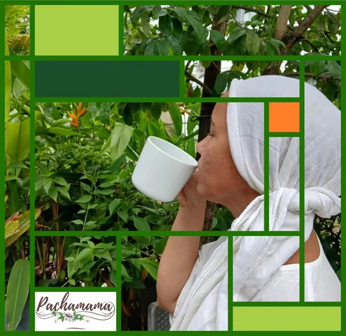 Vista 3 de Frutos Pachamama Té orgánico de hojas de guanábana – Hoja de guanábana seca 100% pura, secada al sol y seleccionada a mano para frescura Apoya