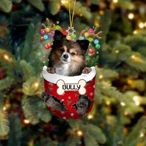 Vista 206 de IZI POD Affenpinscher Adorno de Navidad personalizado para perro, adorno de bolsillo de nieve para perro para árbol de Navidad, adorno acrílico