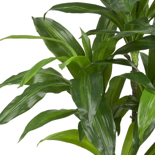 Vista 7 de Nearly Natural Sansevieria de 46 pulgadas + plantas de seda Dracaena de 48 pulgadas (verde)