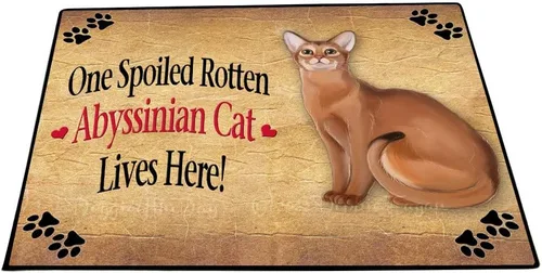 Vista 11 de Doggie of the Day Abyssinian Cats Floor Mat - Happy Fall Y'all Pumpkin - Best Dog Doormat - Protector Decor - Unique Portrait Art - Premium Quality
