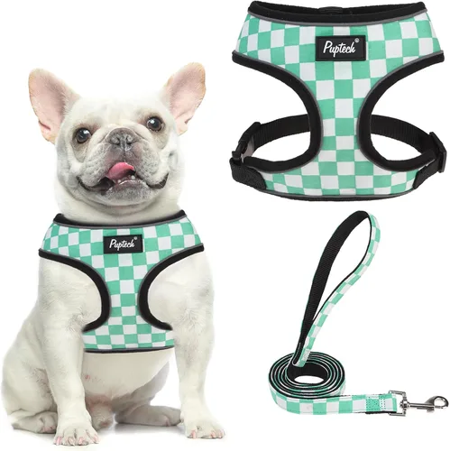 Vista 22 de PUPTECK Juego de arnés y correa de malla suave para perro, cachorro y gato, cómodo chaleco acolchado sin tirones, azul Pascua, S