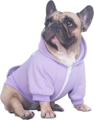 Vista 11 de iChoue - Disfraces para perros, I am a French Bulldog, suéteres divertidos, abrigos de invierno, sudaderas con capucha, Frenchie Pitbull Corgi, Pug