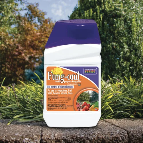 Vista 6 de Bonide Products 880 Fung-Onil fungicida, 16 oz. Control de enfermedades de las plantas, controla el tizón, controla el moho y más