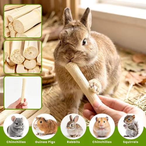 Vista 3 de 1 LB Sweet Bamboo Sticks for Rabbits, Teeth Grinding Chew Toys