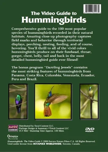 Vista 2 de Video Guide to Hummingbirds