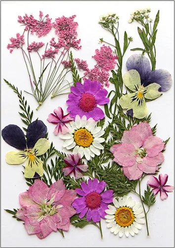 Vista 15 de Natural Pressed Dried Flower for Epoxy Resin Dry Flowers and Leaves Set for Soap Jewelry Making Scrapbooking Phone Case Decoration Section B
