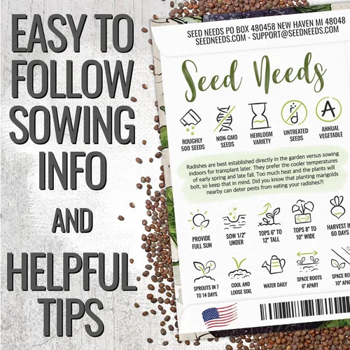 Vista 2 de Seed Needs - Semillas de rábano español negro para plantar reliquia y sin OMG, 1 paquete