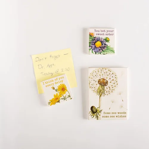 Vista 2 de Primitives by Kathy Some See Weeds Some See Wishes, I Think of You Every Daisy, You Bet Your Sweet Aster - Juego de imanes decorativos
