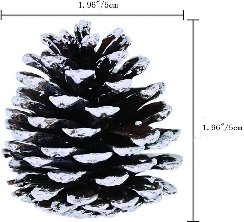 Vista 2 de Yahpetes 24 conos de pino de Navidad de 1.96 pulgadas con punta de nieve natural, decoraciones de piñas rústicas de Navidad para decoración y diseño