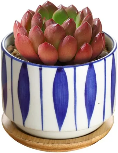 Vista 8 de GeLive Maceta de cerámica para suculentas de 3 pulgadas, maceta de cactus, contenedor de flores con bandeja de goteo de bambú, para interiores
