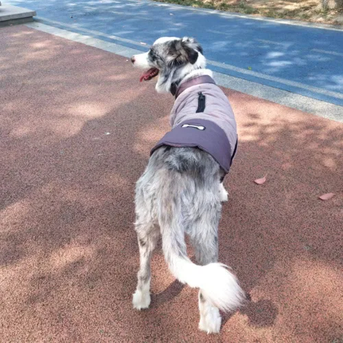 Vista 4 de Abrigo de invierno para perro, chaqueta reversible para perro, impermeable, reflectante, para clima frío, para perros pequeños, medianos y grandes