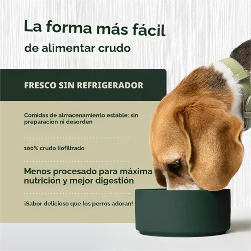 Vista 3 de Instinct Comidas crudas liofilizadas, alimento seco natural para perros, sin granos, carne de res real, bolsa de 3 onzas
