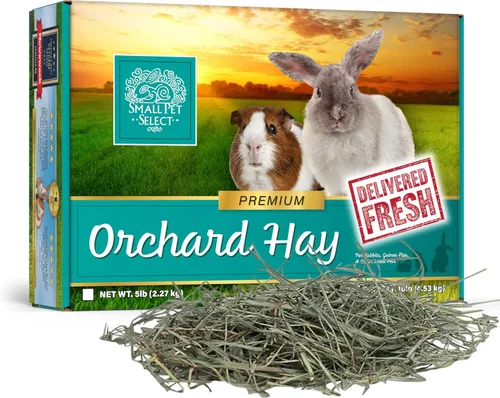 Vista 7 de Small Pet Select Orchard Grass - Alimento para mascotas con heno, 2 libras