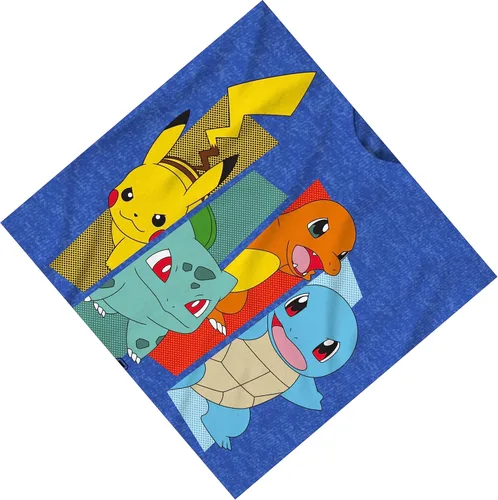 Vista 6 de Pokemon Big Boys Charizard Camiseta de manga corta - Pokemon Gotta Cath 'EM All Group