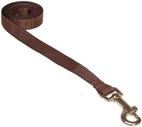 Vista 10 de Correa de nailon rojo mediano para perro: 3/4" de ancho, 6 pies de longitud - fabricada en Estados Unidos.