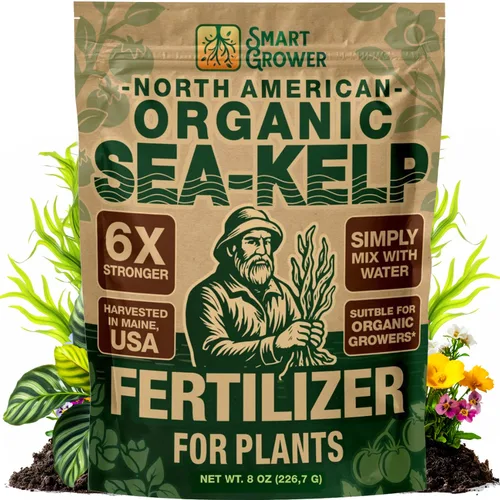 Vista 12 de Fertilizante orgánico de algas marinas para plantas, 2oz hace 50 galones