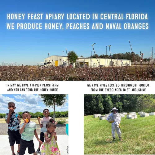 Vista 3 de HONEY FEAST 6 Libras de Miel en Granel Mezcla para Alergias - Vast American, Elaborada en Florida, Cruda y Sin Filtrar, Alto Contenido de Polen