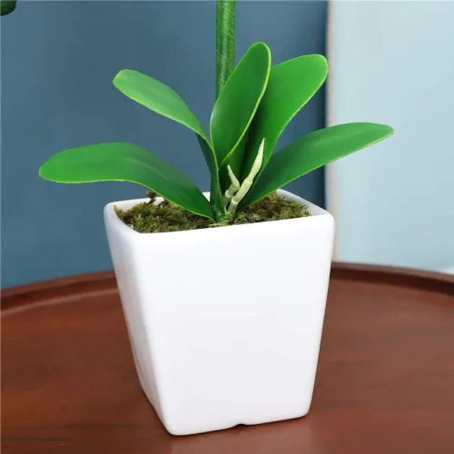 Vista 7 de Arreglos de macetas de plantas de flores de orquídea Phalaenopsis de seda artificial de 15 pulgadas de alto (verde manzana)