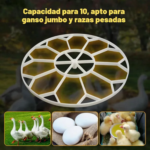 Vista 2 de JGT360 - Bandeja para razas pesadas de ganso con capacidad para 10 huevos Compatible con el girador de incubadora Nurture Right 360