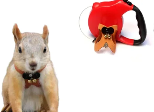 Vista 7 de Correa de cuerda de tracción de ardilla, cuerda de cadena antimordeduras, arnés para caminar pequeños animales con correa extensible para hámster