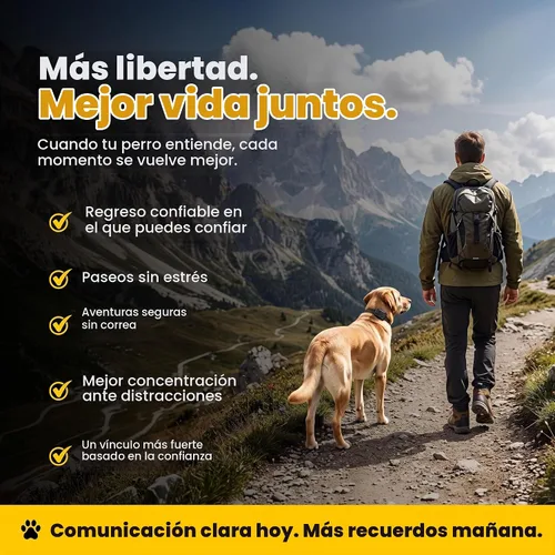 Vista 6 de Educator ET-300 Mini Collar E negro para adiestramiento de perros con control remoto, rango de 1/2 milla, impermeable, 100 niveles de estimulación