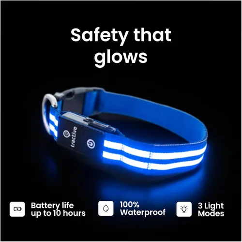 Vista 3 de Tractive Collar de perro con luz LED recargable USB impermeable (azul)