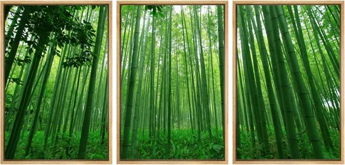 Vista 14 de wall26 Lienzo enmarcado para pared, juego de arte debajo de los tallos de bambú verde, naturaleza, desierto, fotografía, realismo, contemporáneo