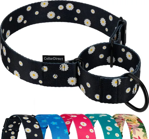 Vista 15 de CollarDirect Martingale - Collar de nailon resistente para perros pequeños, medianos y grandes [nailon, estampado, aguamarina, L, 15-20 pulgadas)