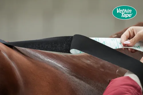 Vista 6 de Vetkin Caja de exhibición de cinta Cinta de kinesiología equina y canina Cinta de kinesiología para fines veterinarios 10 rollos sin cortar