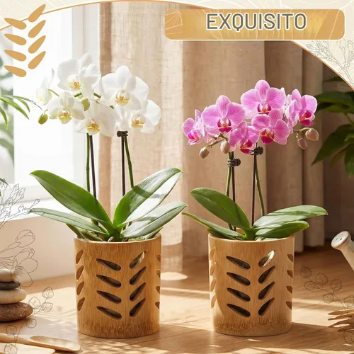 Vista 5 de Paquete de 2 Macetas de Bambú, Maceta Redonda Transpirable de 4 Pulgadas con Diseño Hueco para Optimizar el Flujo de Aire, Maceta Natural Marrón
