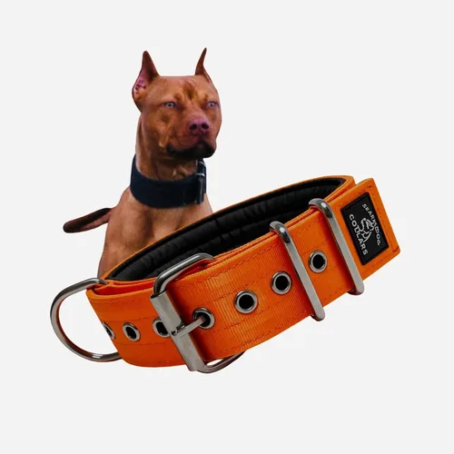 Vista 13 de SparkDog - Collar acolchado para perro, 2 pulgadas de ancho, nailon de 4 capas, correas para cinturón de seguridad, accesorios de acero inoxidable