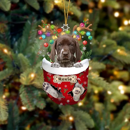 Vista 175 de LOVELYPOD Adorno Personalizado de Perro Affenpinscher, Adornos de Navidad Affenpinscher Regalo para Amante de Perros, Adorno de Navidad Colgante