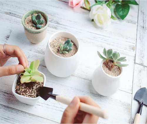 Vista 3 de Andiker Mini herramientas de jardinería, juego de 3 herramientas de mano de jardín portátiles, rastrillo de jardinería en miniatura paleta y pala