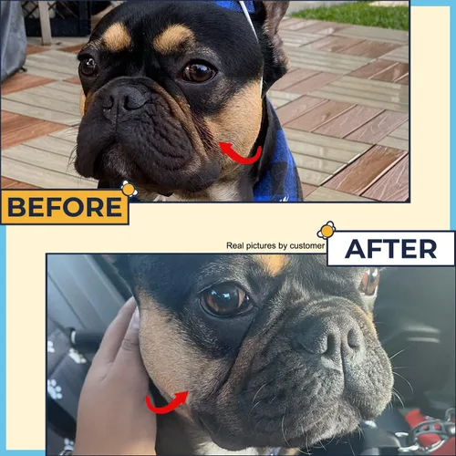 Vista 6 de Pasta para Bulldogs antiarrugas de 2 onzas + 50 toallitas antiarrugas Bulldog francés (paquete de 2) Crema antiarrugas para perros, Frenchie