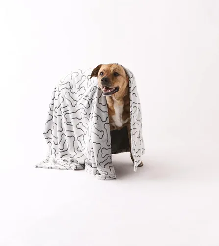 Vista 4 de Bone Dry Colección de huesos en relieve, manta para mascotas, 36x48, negro