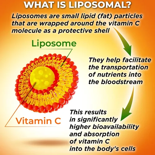 Vista 7 de Quercetina con bromelina, vitamina C y zinc + vitamina C liposomal de 1500 mg – Paquete de apoyo inmunológico con cereza de acerola orgánica, Camu