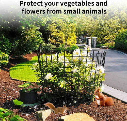 Vista 5 de Jaulas de metal para plantas, paquete de 5 protectores de plantas de animales, jaulas de metal para mantener a los animales fuera, protección