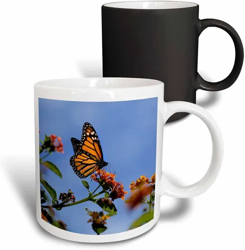Vista 13 de 3dRose USA, California. Monarch butterfly on lantana flower. 15oz Two-Tone Black Mug