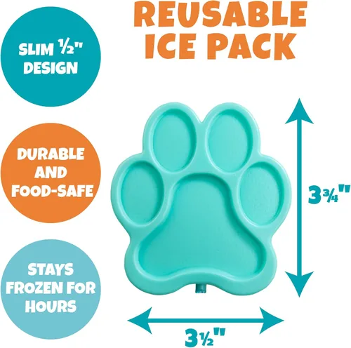 Vista 4 de Bentology Kit de lonchera aislada con botella de agua reutilizable de acero inoxidable y bolsa de hielo duro para congelador, mini bolsa térmica