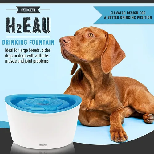 Vista 2 de Fuente de agua para perros, diseño fresco y claro, de Dogit, Blanco Fuente de agua potable grande con filtro purificador