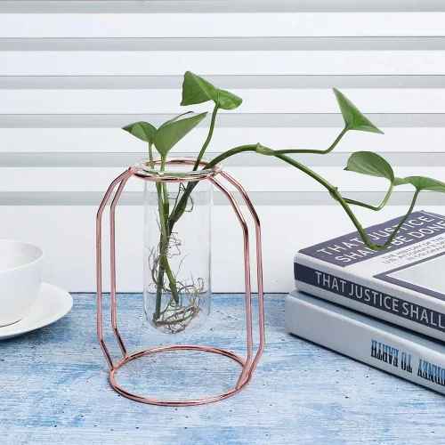 Vista 3 de Fydun Transparent Hydroponic Plant Vase Flowerpot Desktop Home Decoration Gold Wide Range of Uses (Rose Gold)