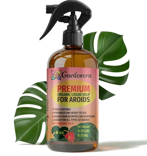 Vista 39 de GARDENERA Spray orgánico profesional de algas marinas para plantas AGLAONEMA – 8 oz – Rocío fertilizante de algas marinas y algas marinas totalmente