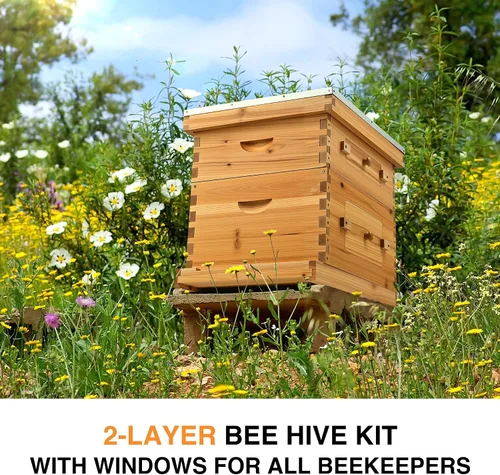 Vista 3 de CREWORKS Colmena de abejas de 10 marcos, kit de iniciación de colmena recubierta de cera de abeja de 2 capas con marcos y fundaciones, caja