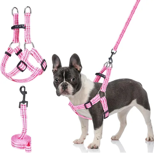 Vista 9 de BEAUTYZOO Juego de arnés y correa para perro, arnés ajustable para cachorros, chaleco de nailon suave a prueba de escapes con doble anillo en D